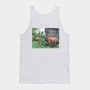 Scottish Highland Cattle Calves 1503 Tank Top